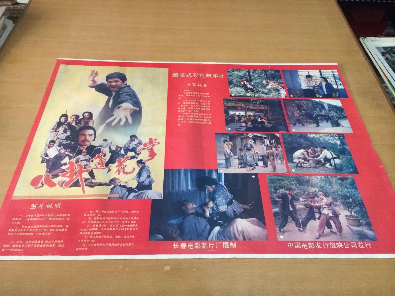 八卦莲花掌电影海报