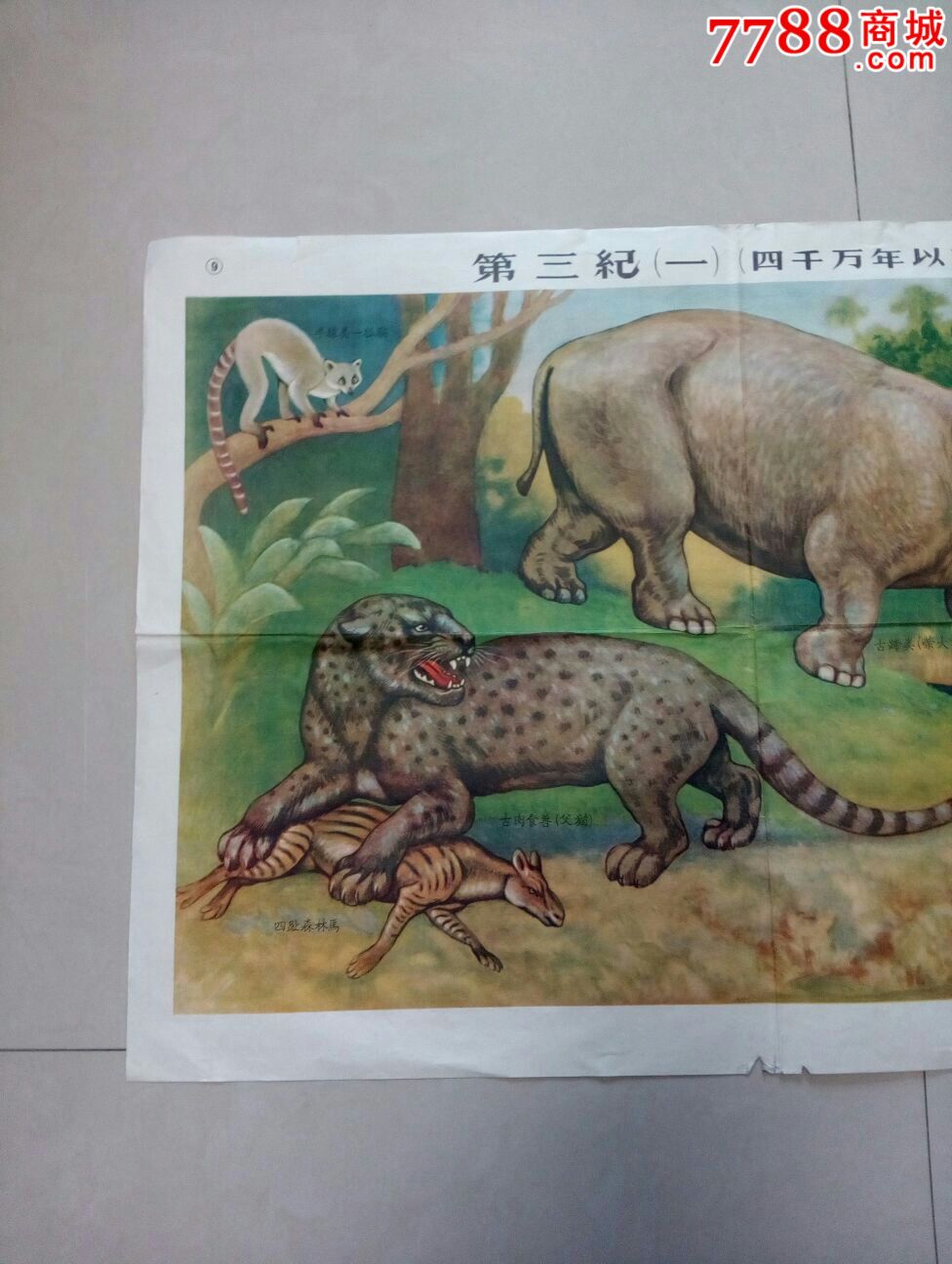 第三纪-价格:25.0000元-se49385127-教学挂图-零售-7788收藏__中国收