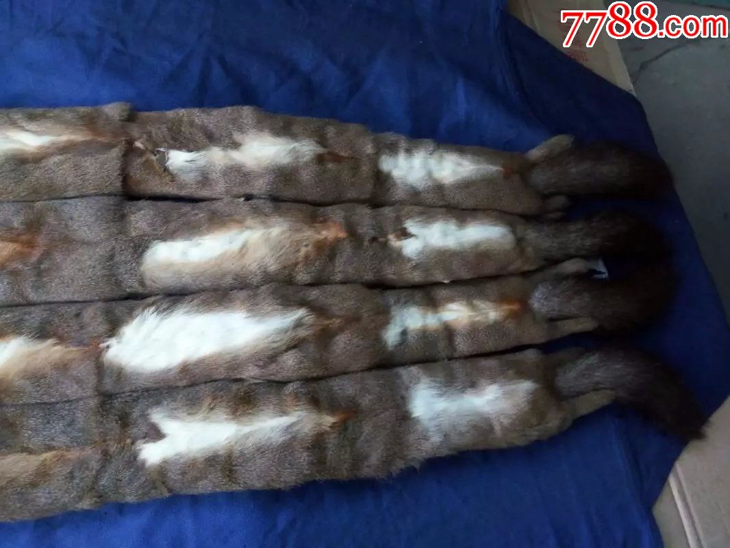 松鼠毛皮披肩,围脖,毛皮,老皮草,老裘皮.