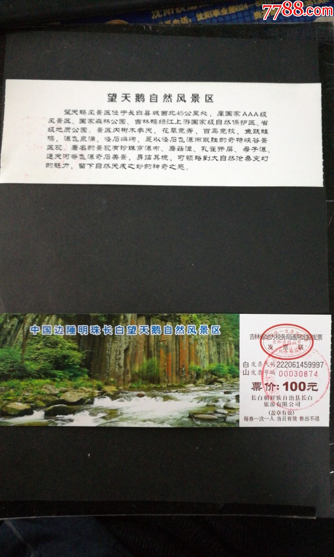 【长白山望天鹅景区100元】