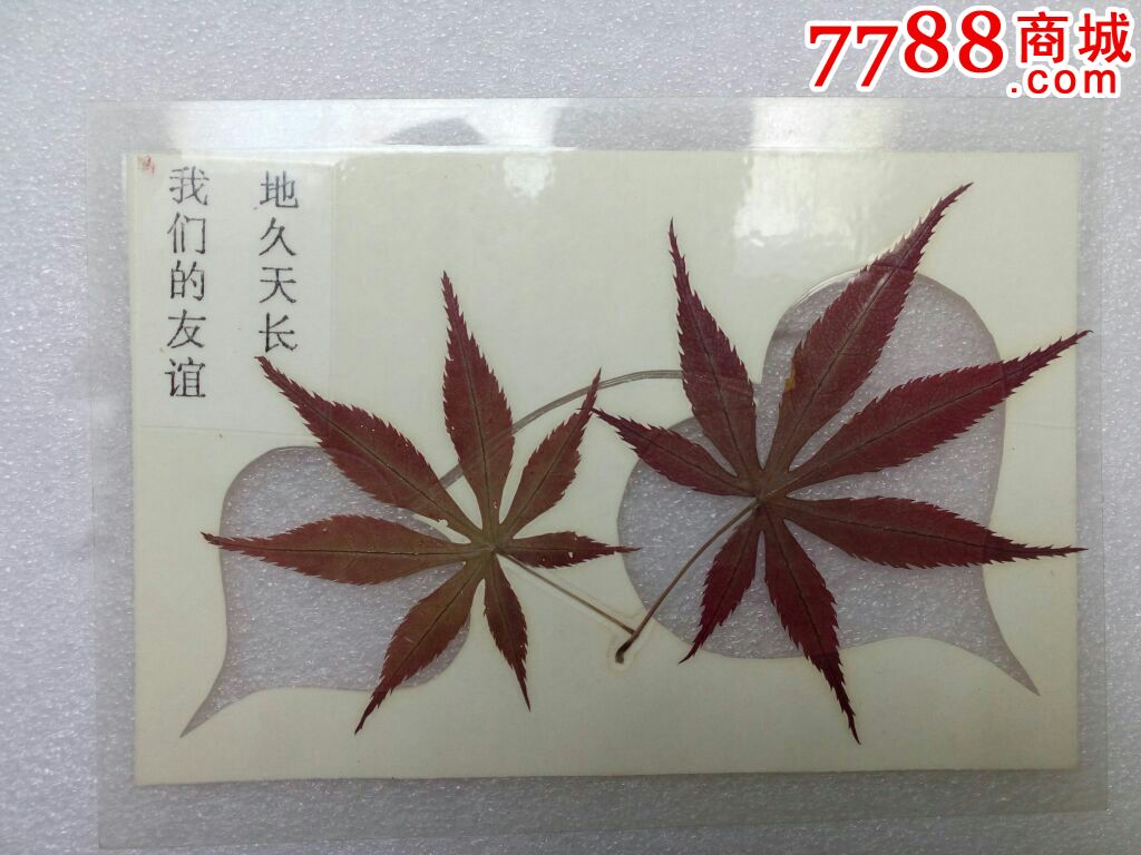 自制枫叶标本书签塑封_价格8.0000元_第1张_7788收藏__中国收藏热线