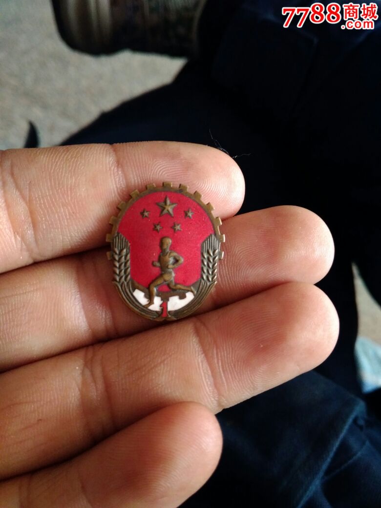 一级劳卫制证章