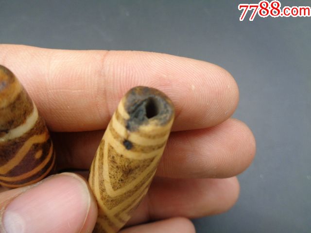 老邦迪克木化石镶蚀珠两个