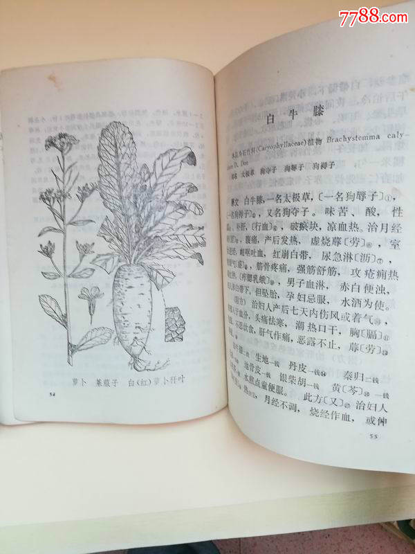 滇南本草(一,二,三册全)