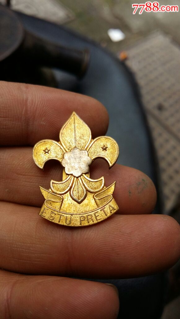 童子军章-se51586283-政府机关徽章-零售-7788收藏__中国收藏热线