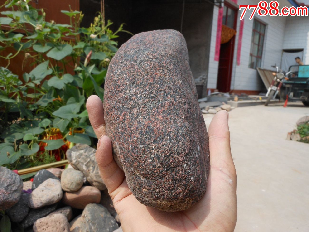 奇石摆件天然原石观赏石晋南金彩石金光闪闪25厘米15厘米5厘米重约5