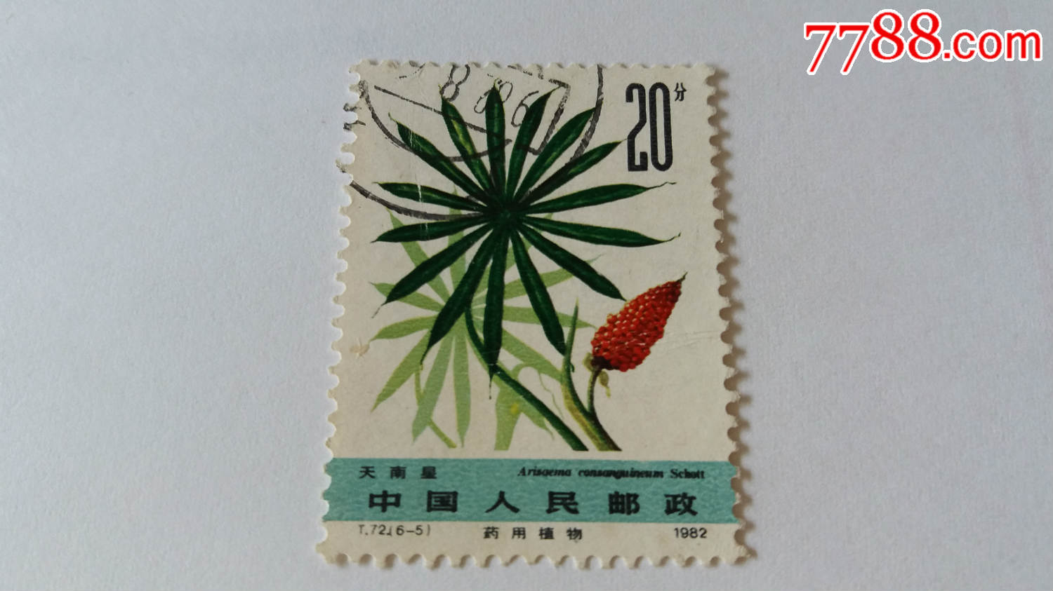 t72药用植物【6-5】信销邮票中国名花大全