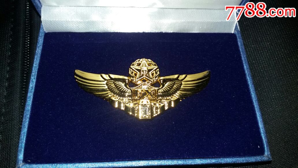 海军航空兵特级飞行等级徽
