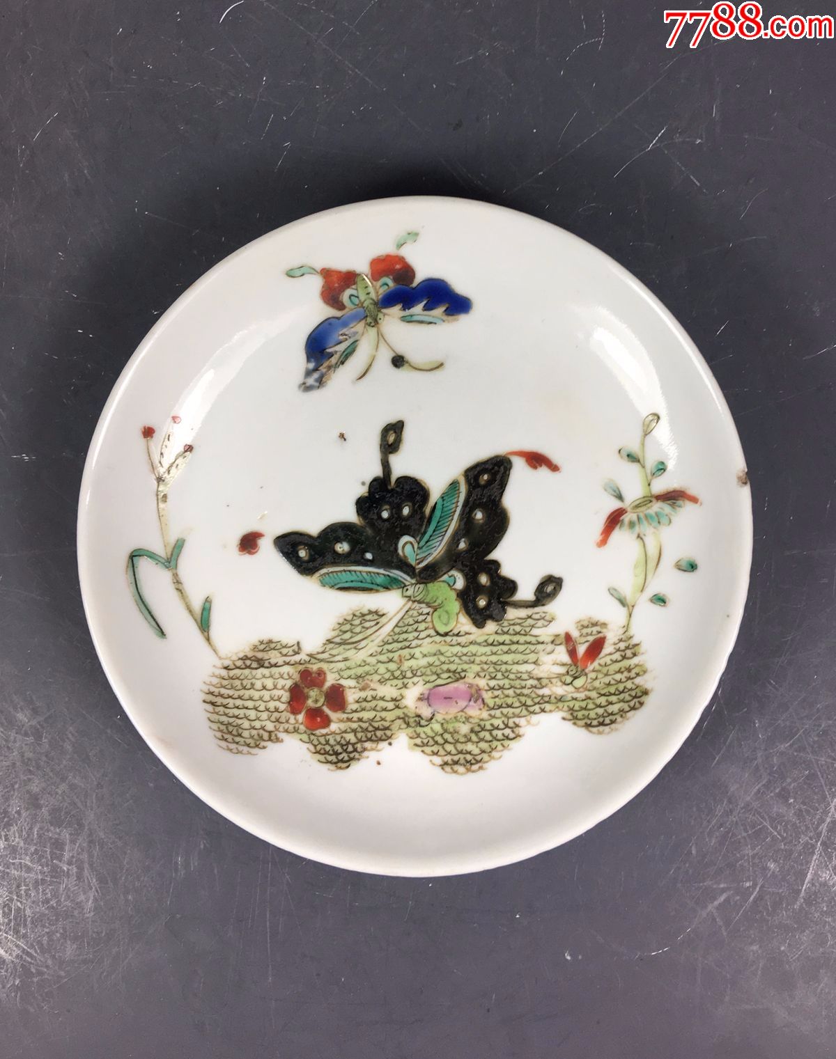 晚清蝴蝶粉彩盘近全品
