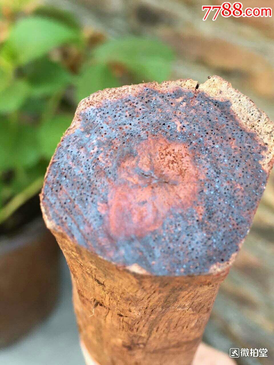 缅甸奇楠降真香木头