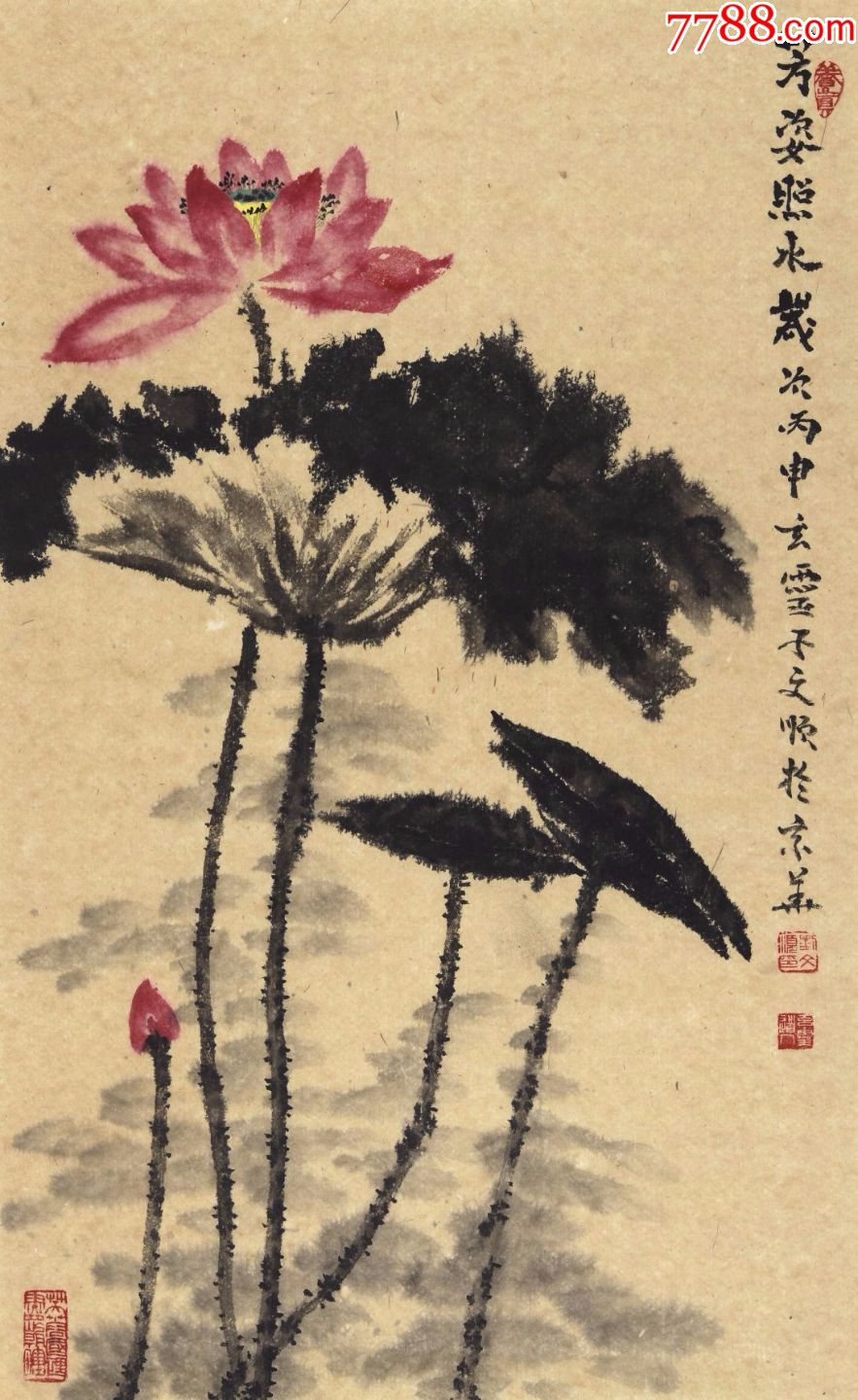 画荷名家刘文顺国画作品荷花图-芳姿照水