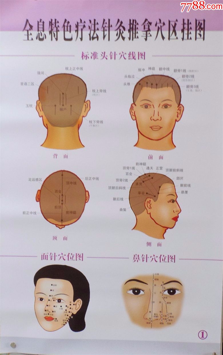 全息特色療法針灸推拿穴區掛圖主編:王漢東人民軍醫出版社