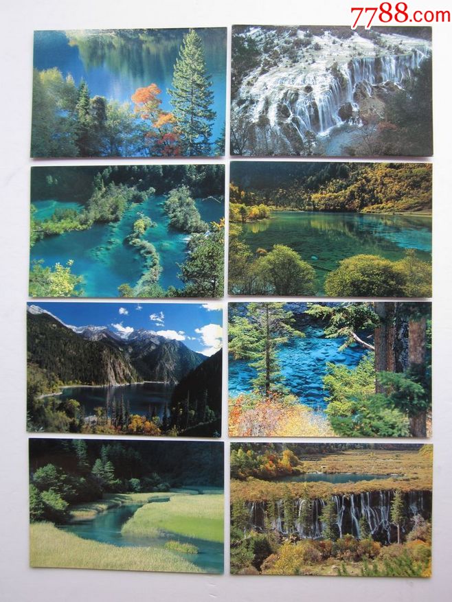 世界自然遗产美术作业图片