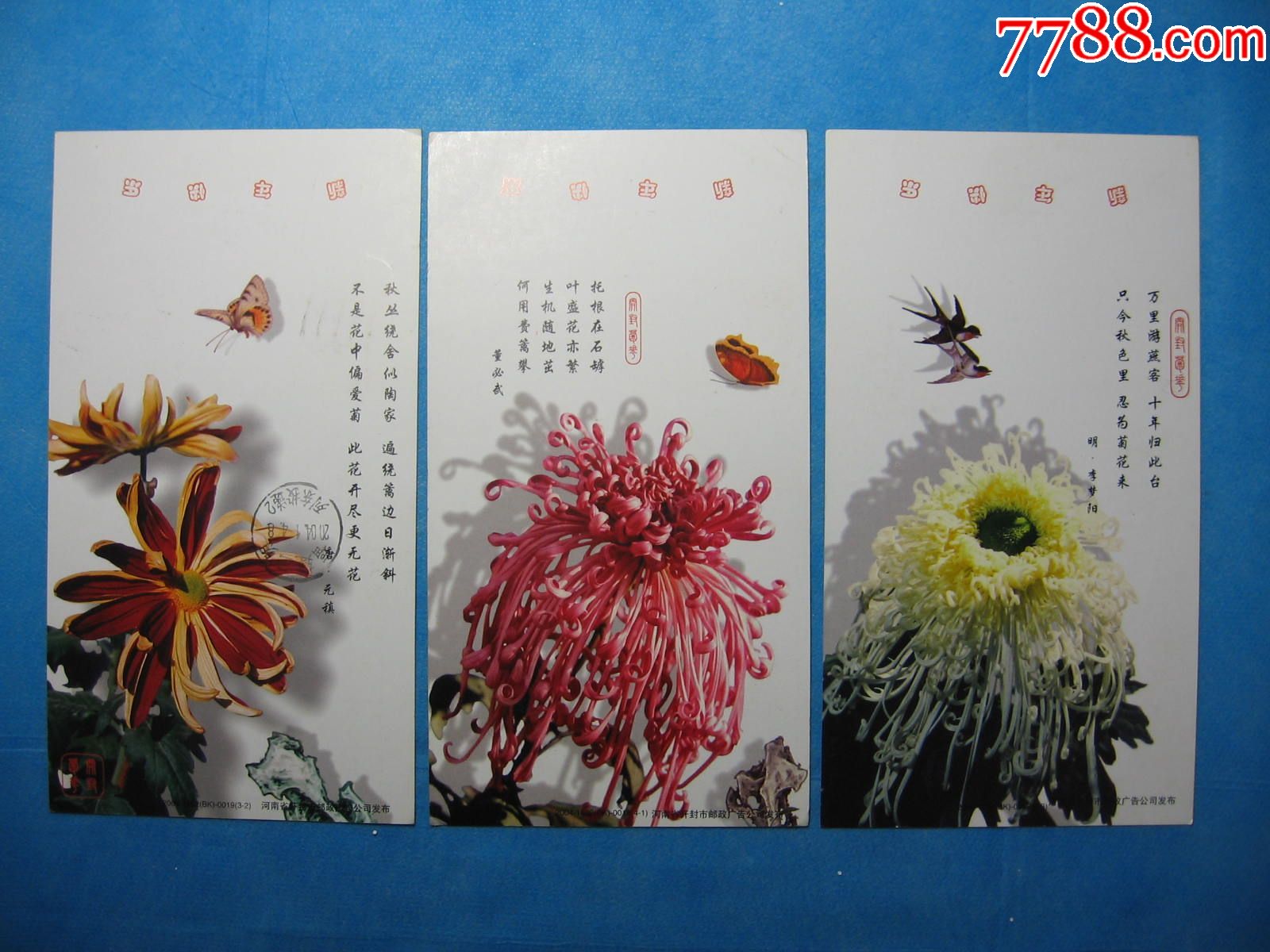 菊花8枚-se53506676-明信片/邮资片-零售-7788收藏__中国收藏热线