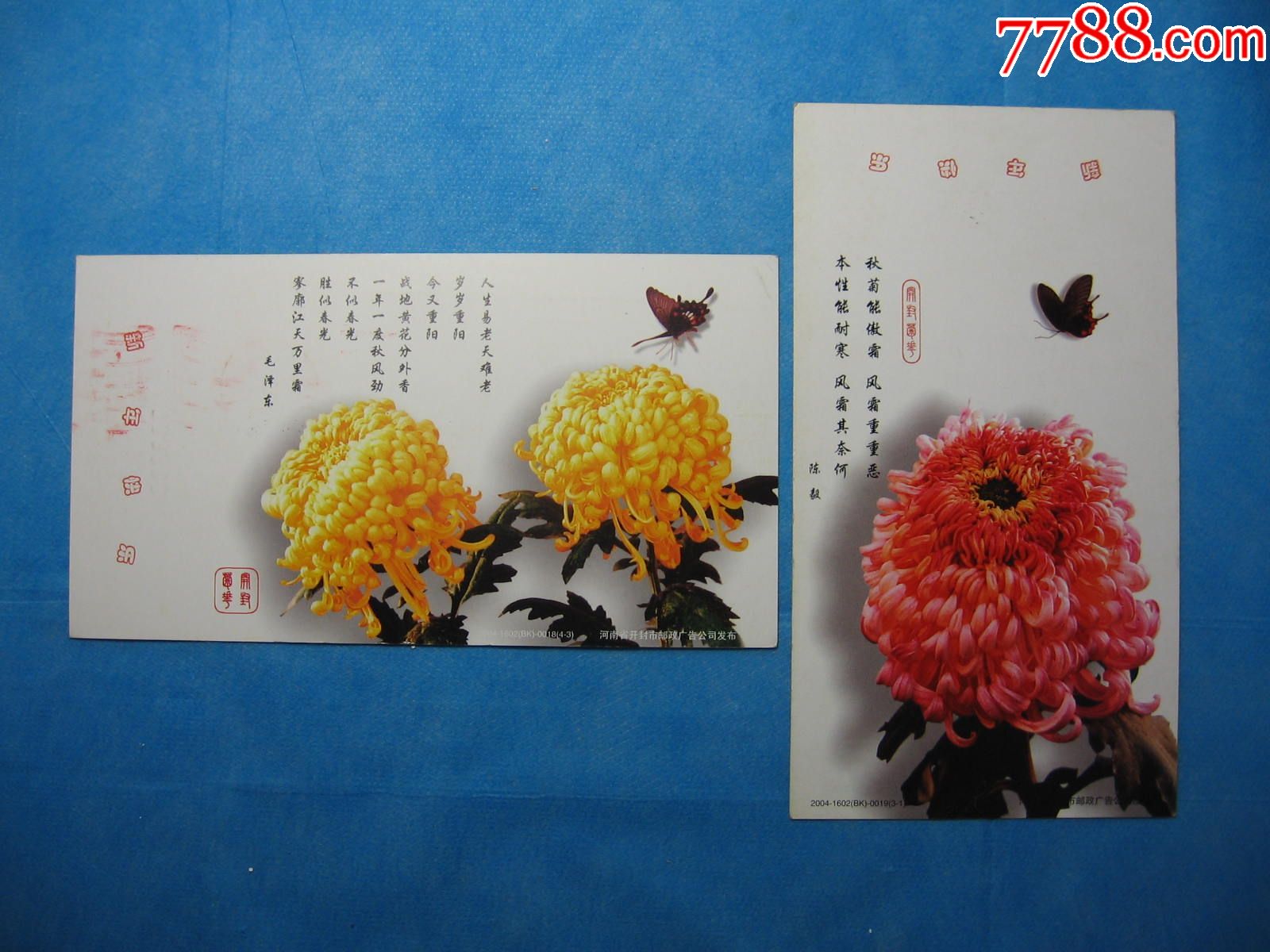 菊花8枚-se53506676-明信片/邮资片-零售-7788收藏__中国收藏热线
