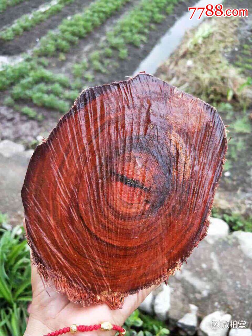 印度小叶紫檀木料