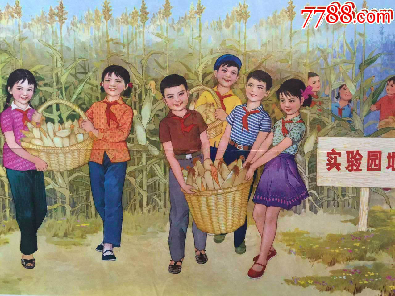 收玉米(基础训练二-se53866080-年画/宣传画-零售-7788收藏__中国