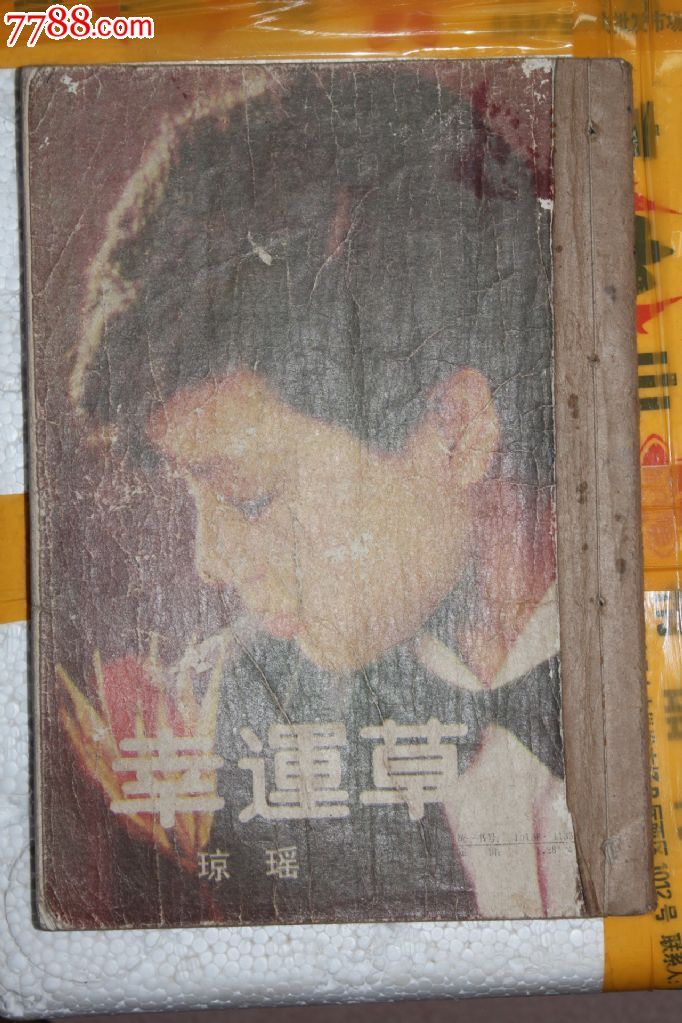 流行小说丛书\琼瑶系列4部\《失火的天堂》+《