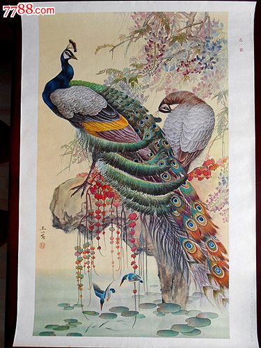 孔雀(1980.王一鸣)