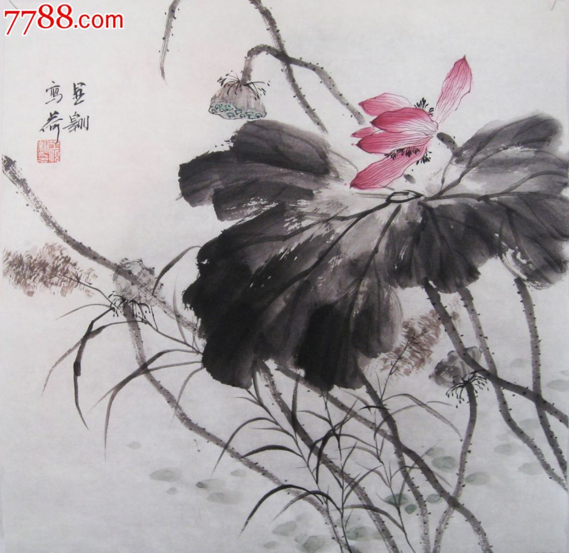 荷花】六幅50*50画芯【山水间画廊推荐】-se29149568-花鸟国画原作
