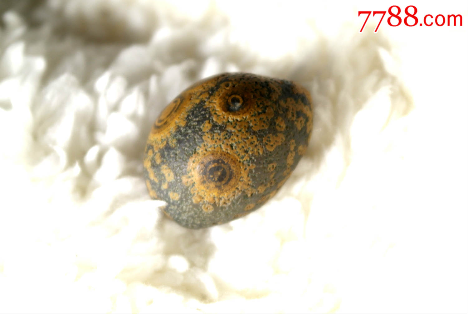 九眼石天然戈壁眼睛石玛瑙奇石金钱石钱币石003