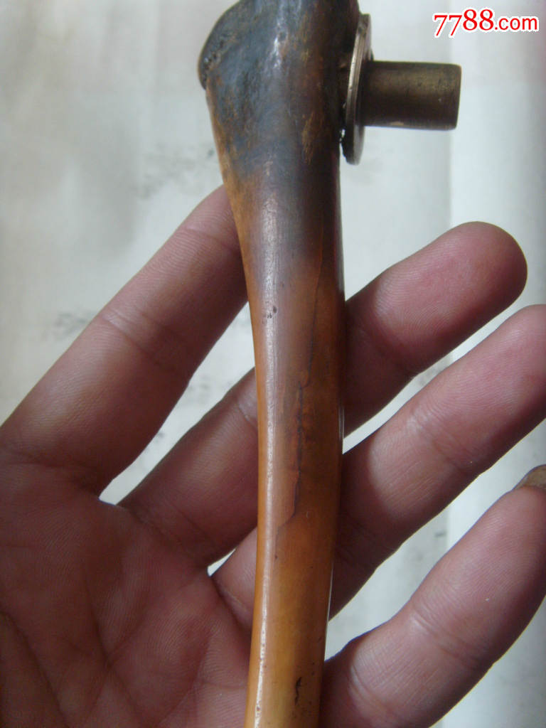 草原羊腿骨水烟枪