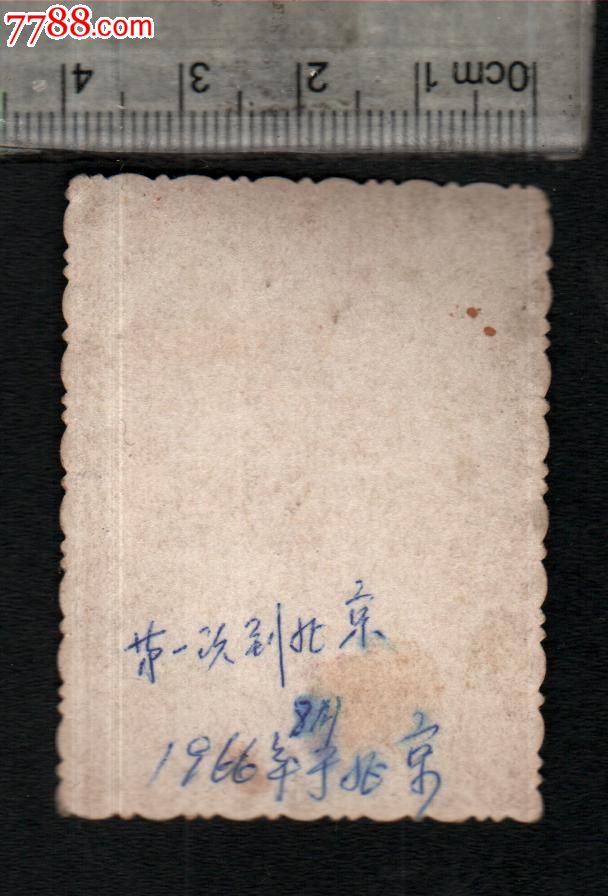 文革美女红*兵-手持红宝书.戴像章