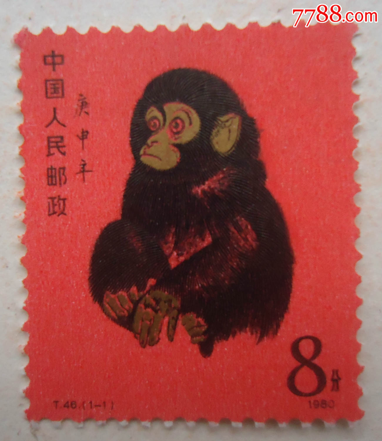 80版全品猴票