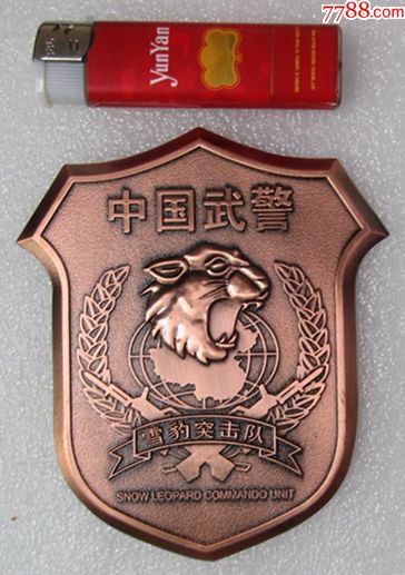 高原雪豹特战旅臂章图片