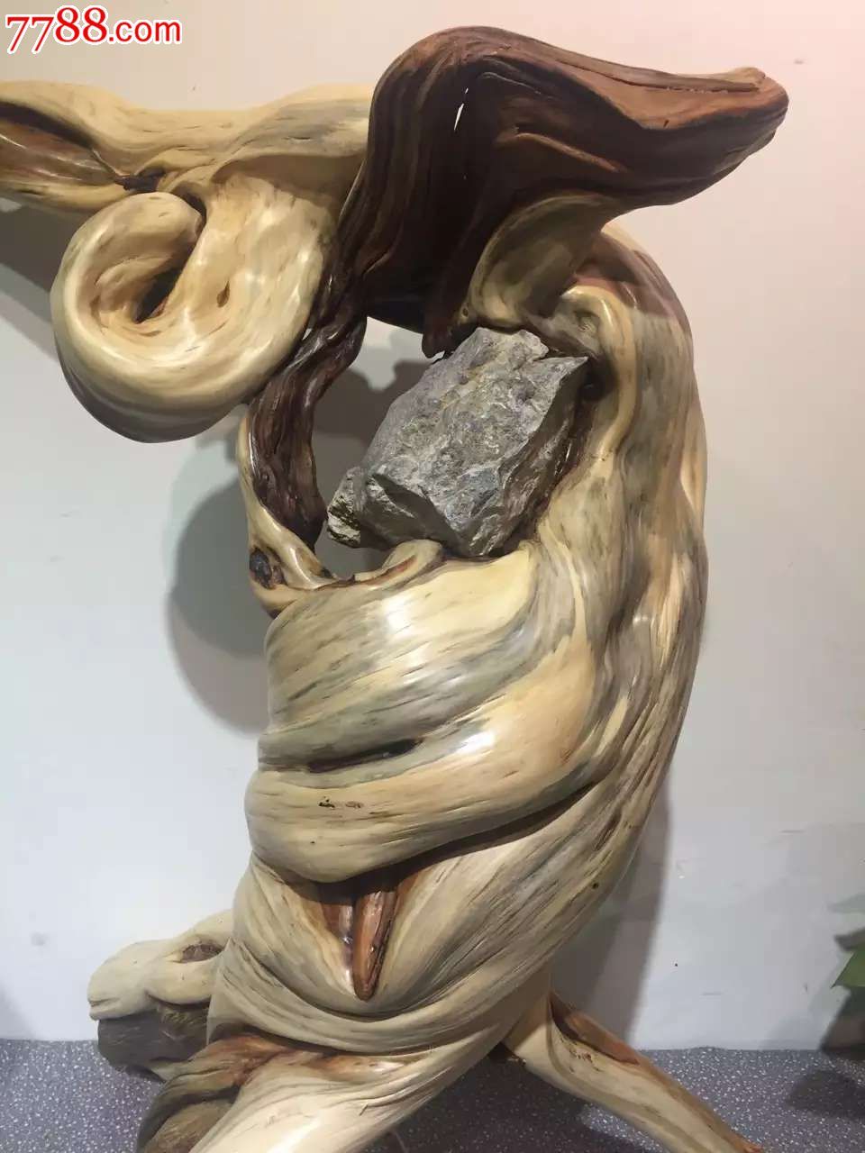 崖柏仙人指路天然双色