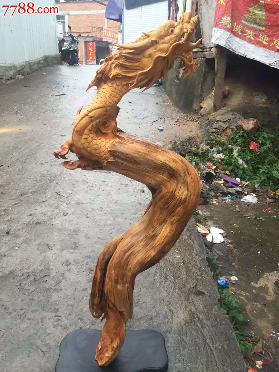 崖柏新品-飞龙在天