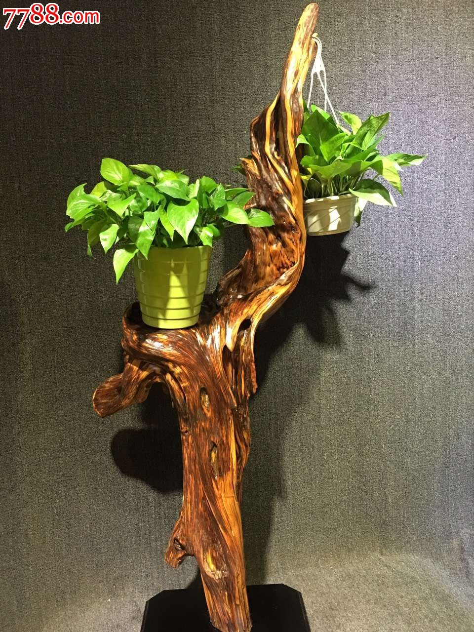 精品出炉太行崖柏万年陈化老料木花架