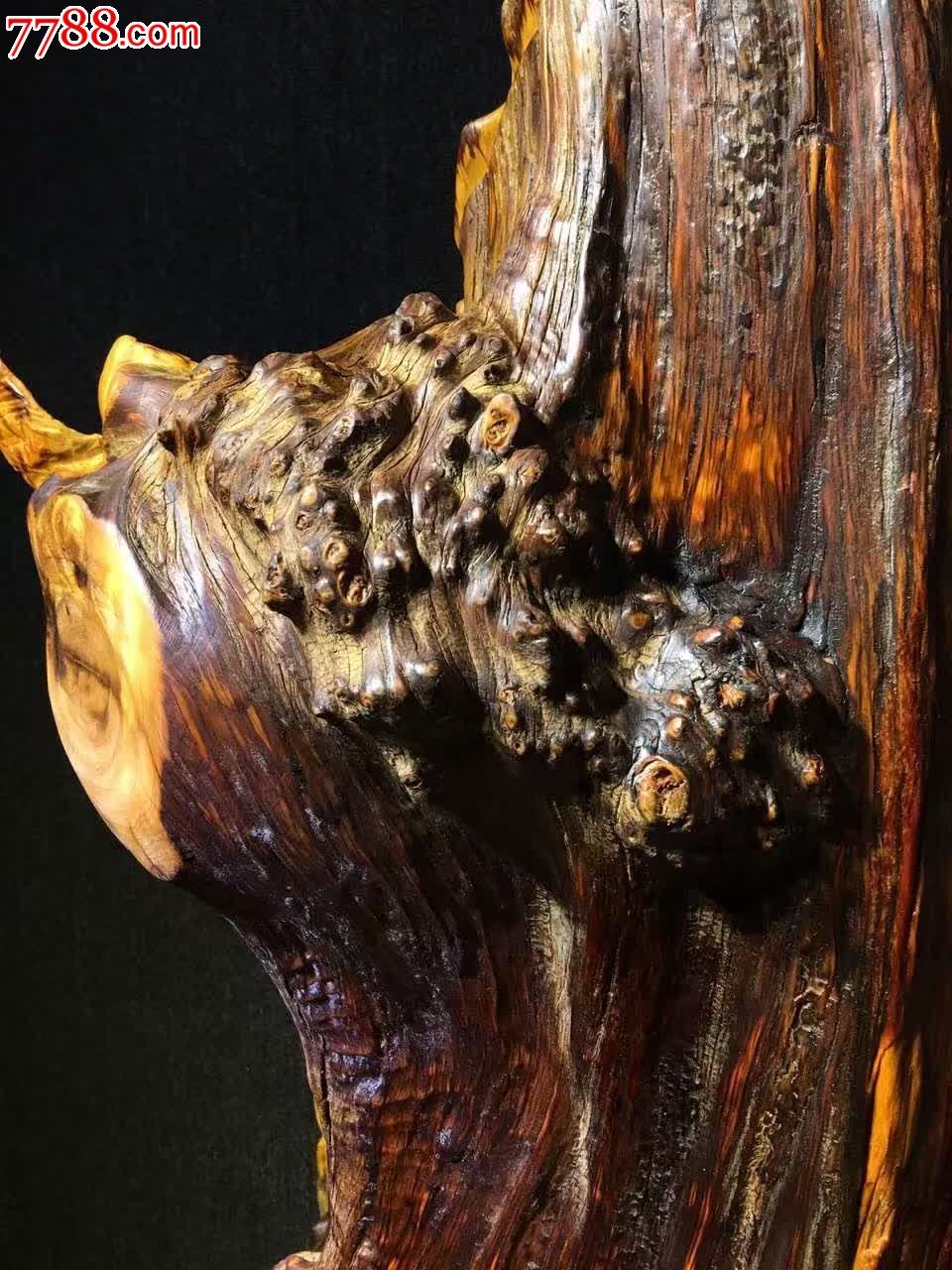 四川崖柏陈化瘤莲花自在观音