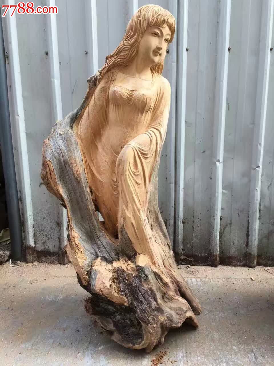 羞涩美女崖柏老料