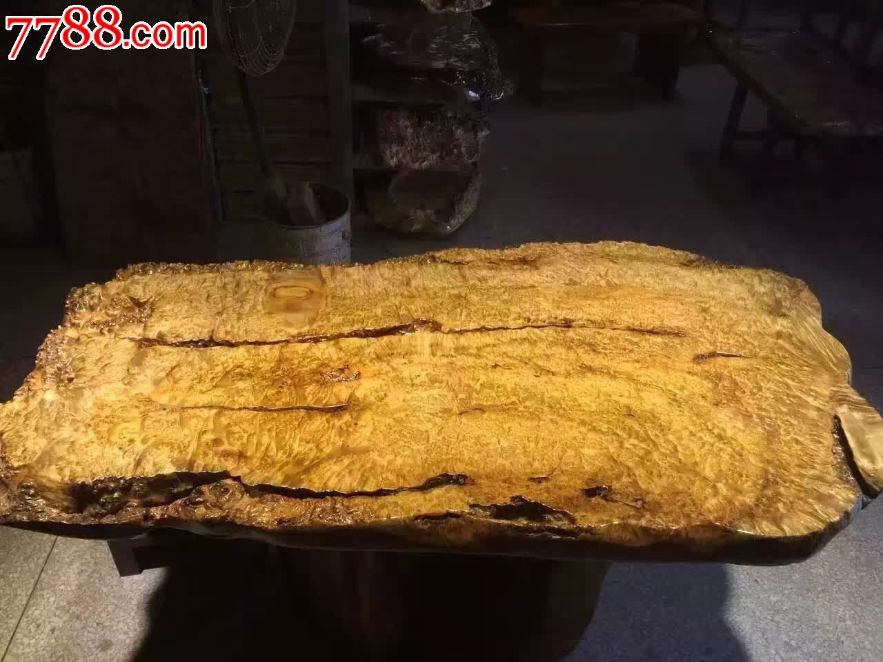 极品黄金樟大板