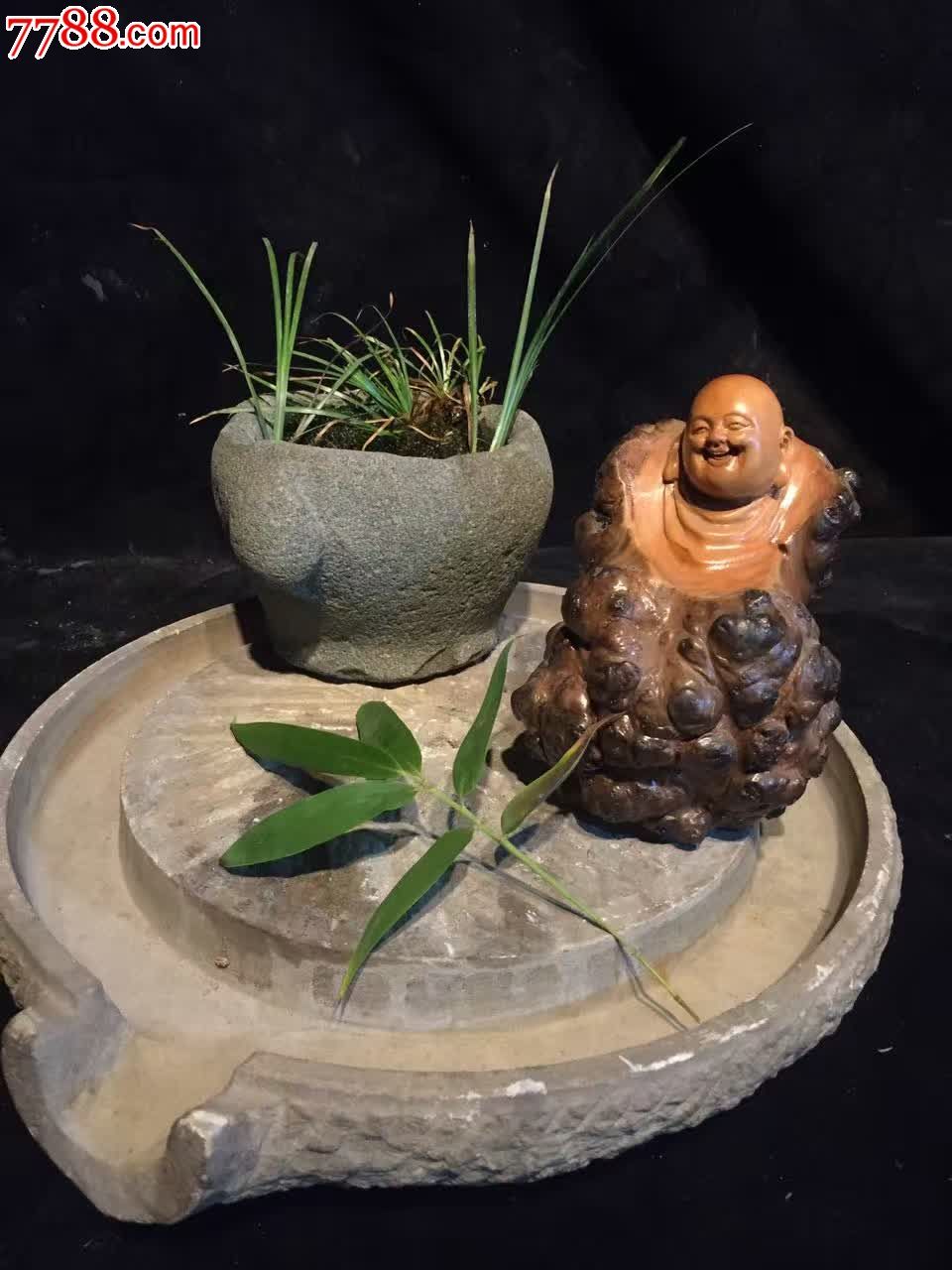 茶树瘤两图一物