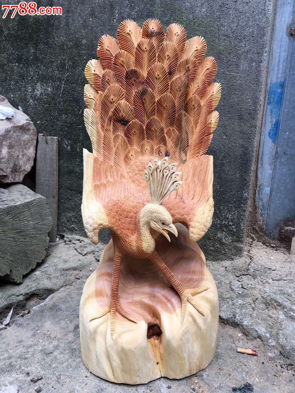 崖柏孔雀开屏