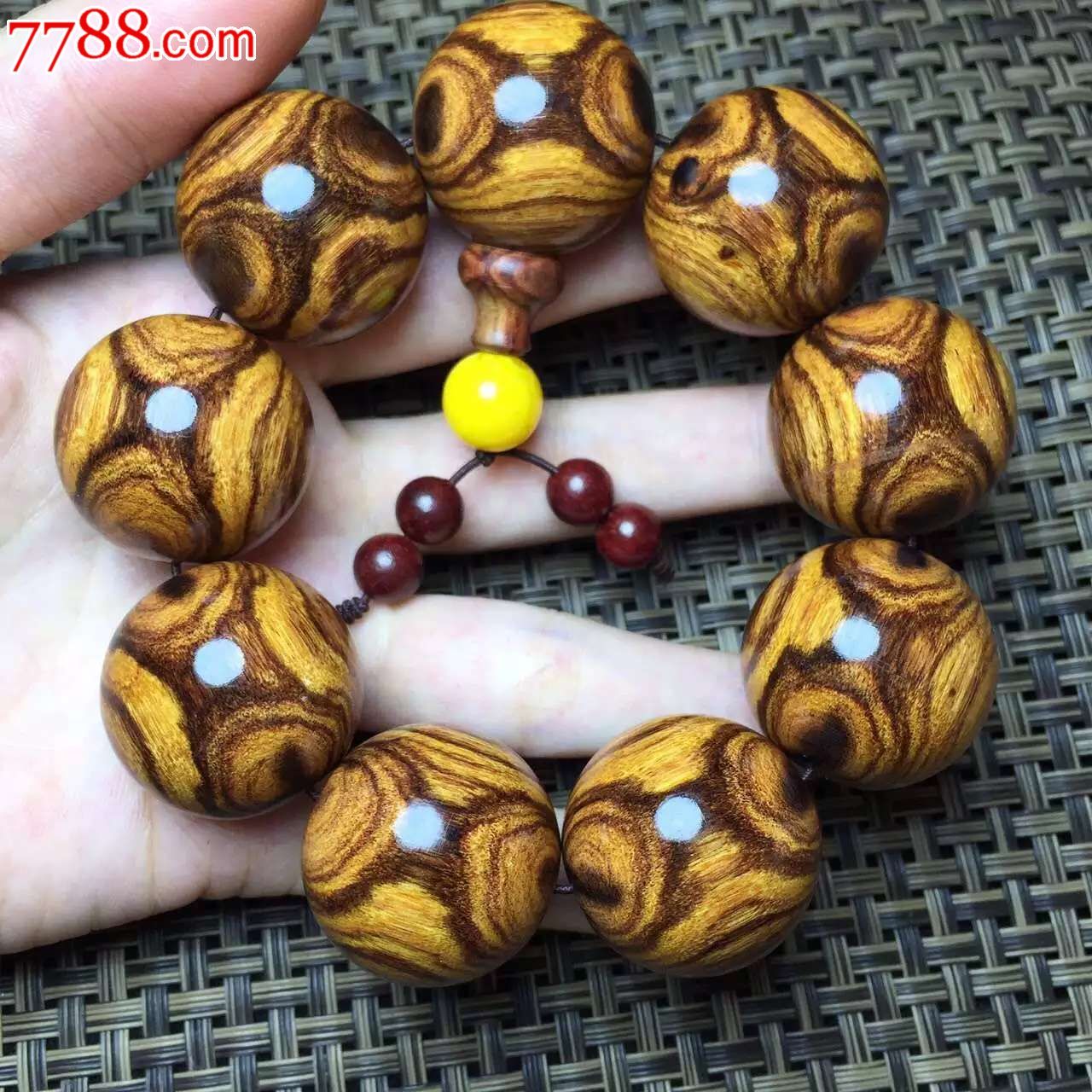 紫檀柳27对眼黄金底