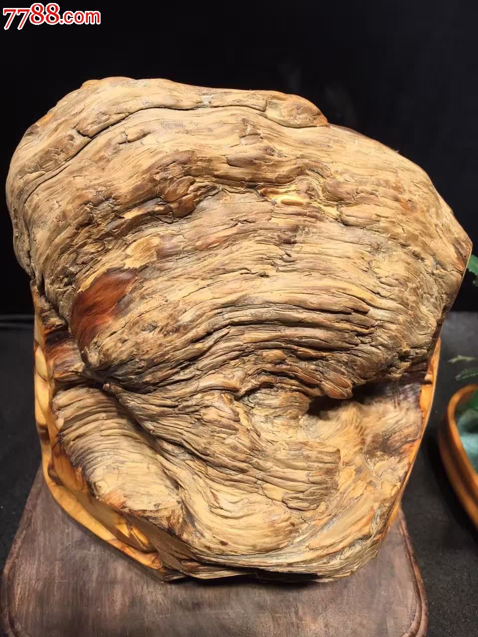 崖柏变异瘤顶瓜瓜陈化_价格1066.