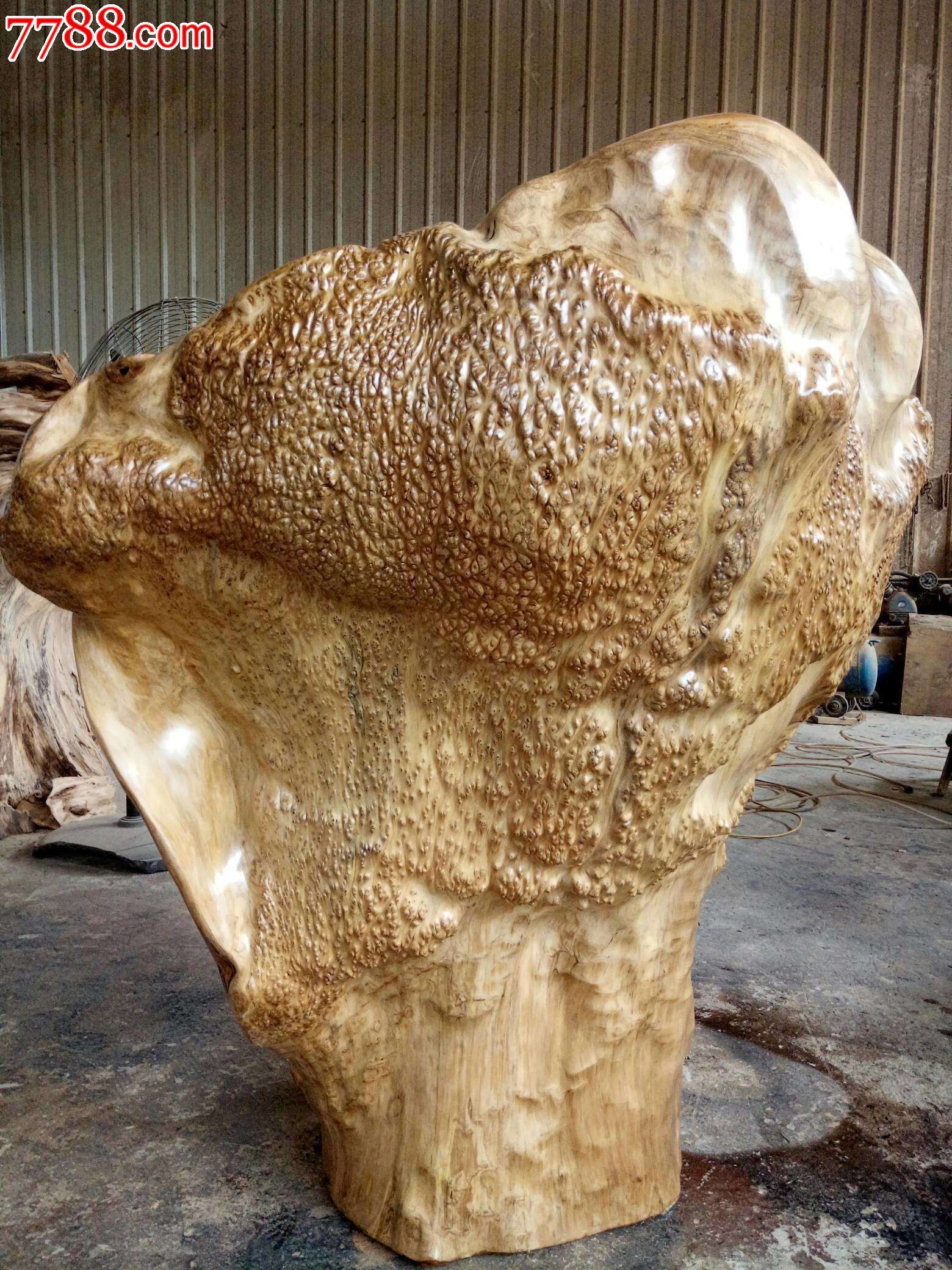 极品杉木瘤靠背椅宝座