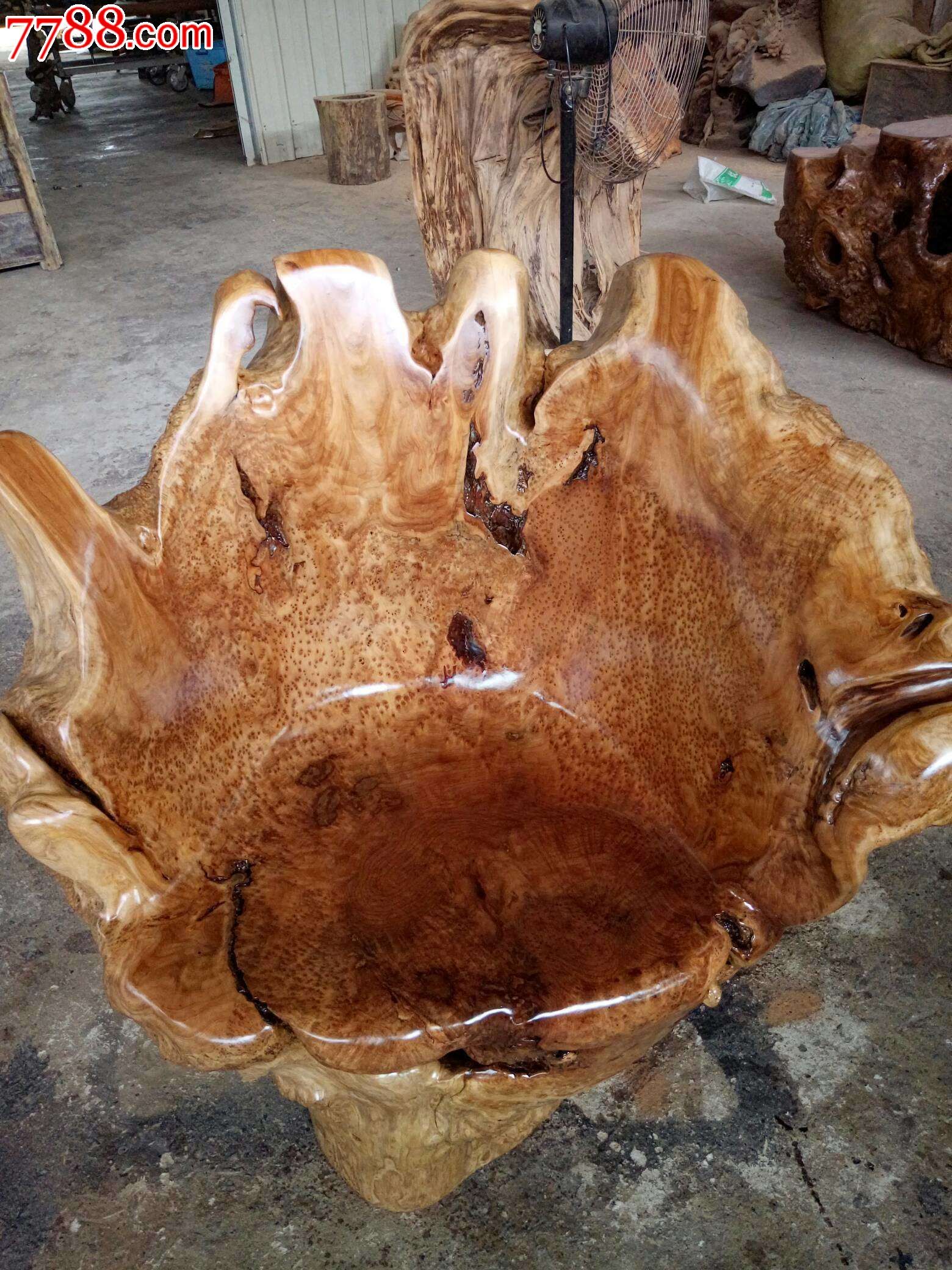 极品杉木瘤靠背椅宝座