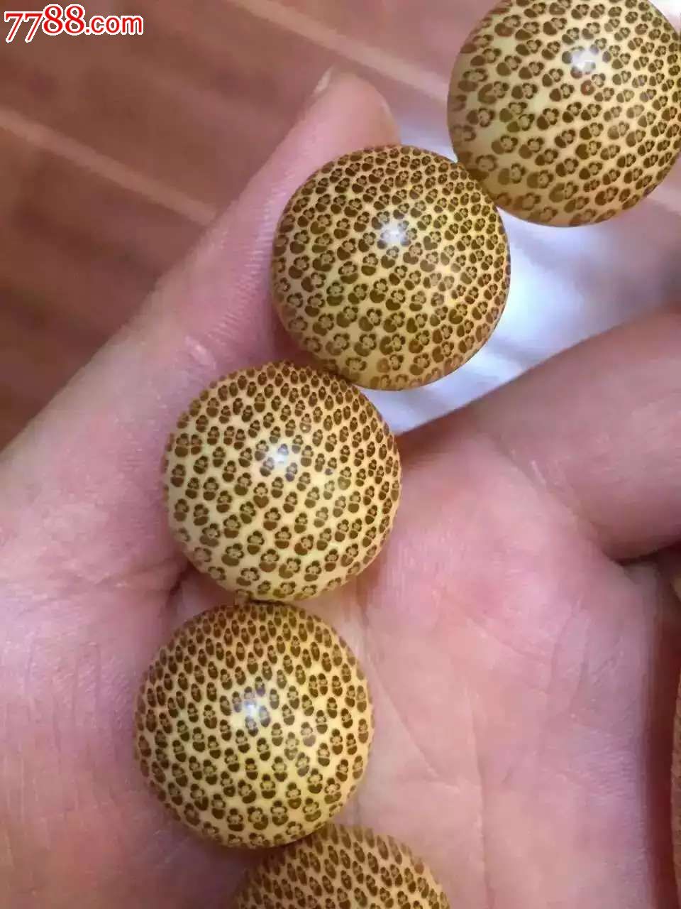 顶级血金丝竹18爆款