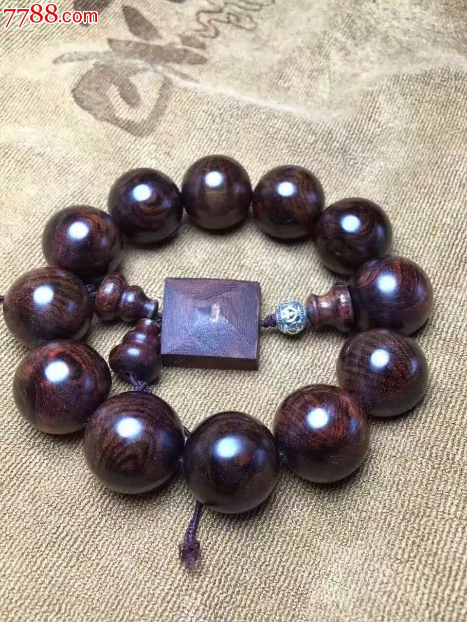 端精品沉水的蜘蛛网2