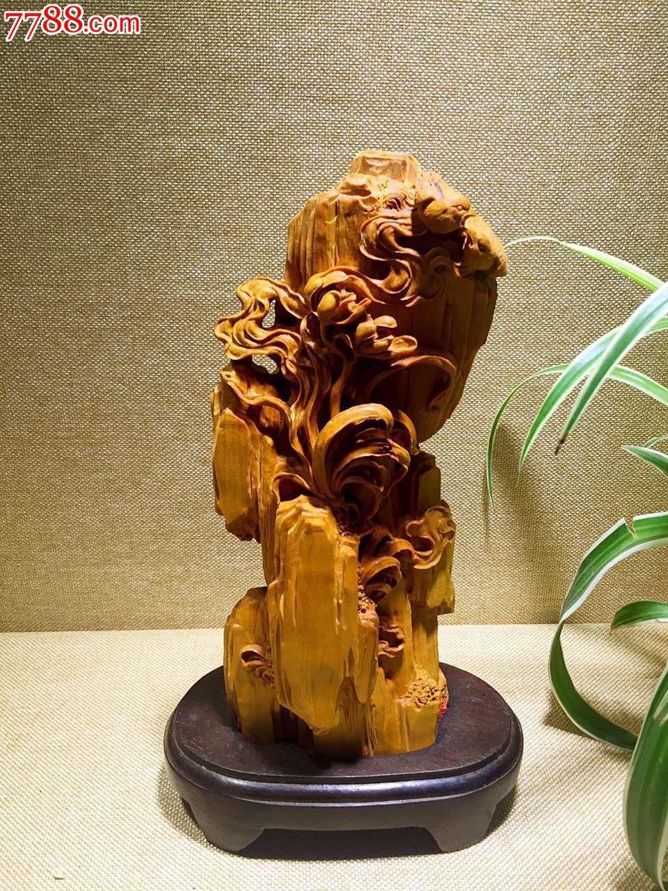 兰花兰草中之王人们喜-议价-se38283912-其他根雕/木雕-零售-7788收藏
