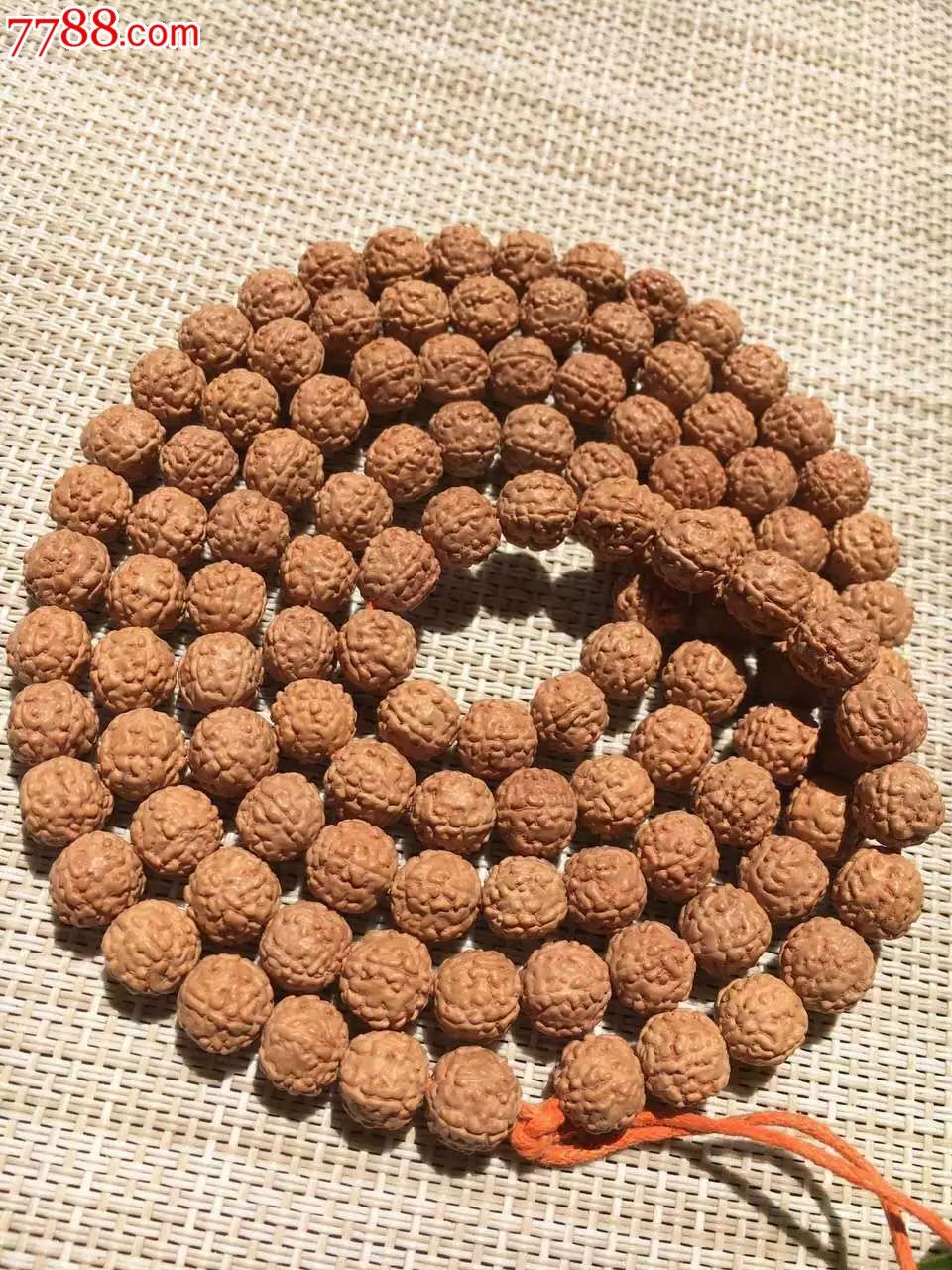 麦穗盘龙纹小金刚同籽