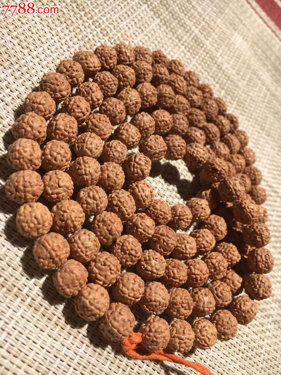 麦穗盘龙纹小金刚同籽