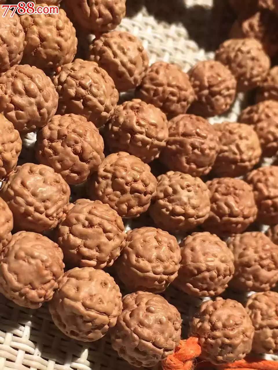 麦穗盘龙纹小金刚同籽