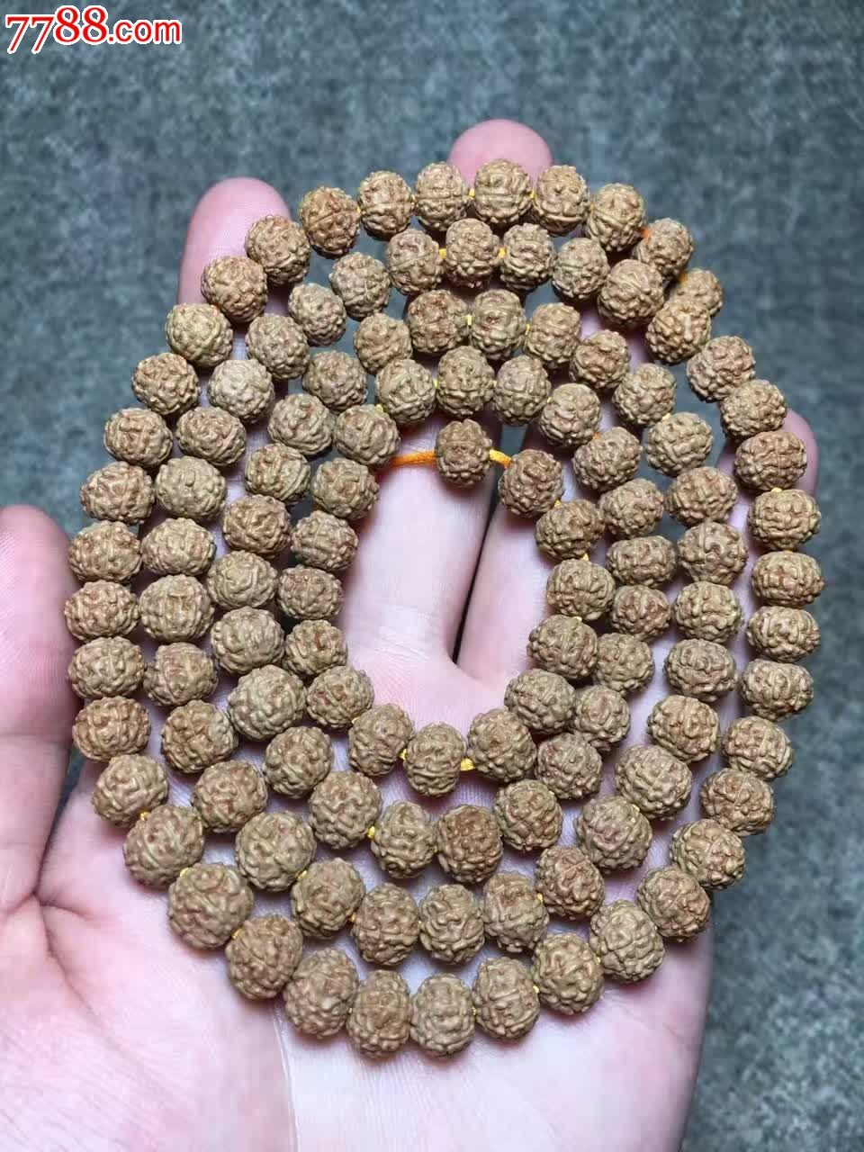 精品小金刚7瓣麒麟纹