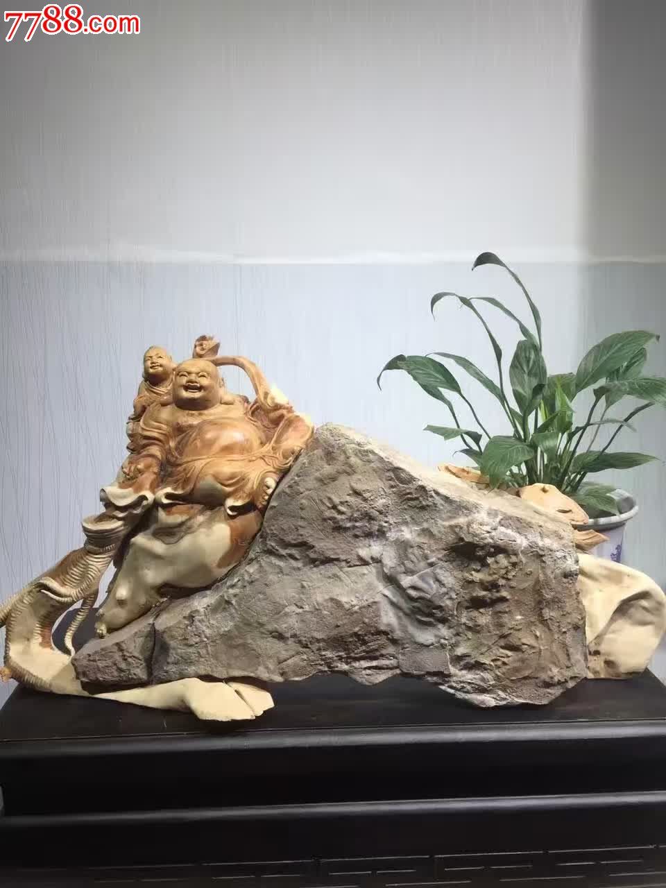 崖柏抱石童子戏佛之人