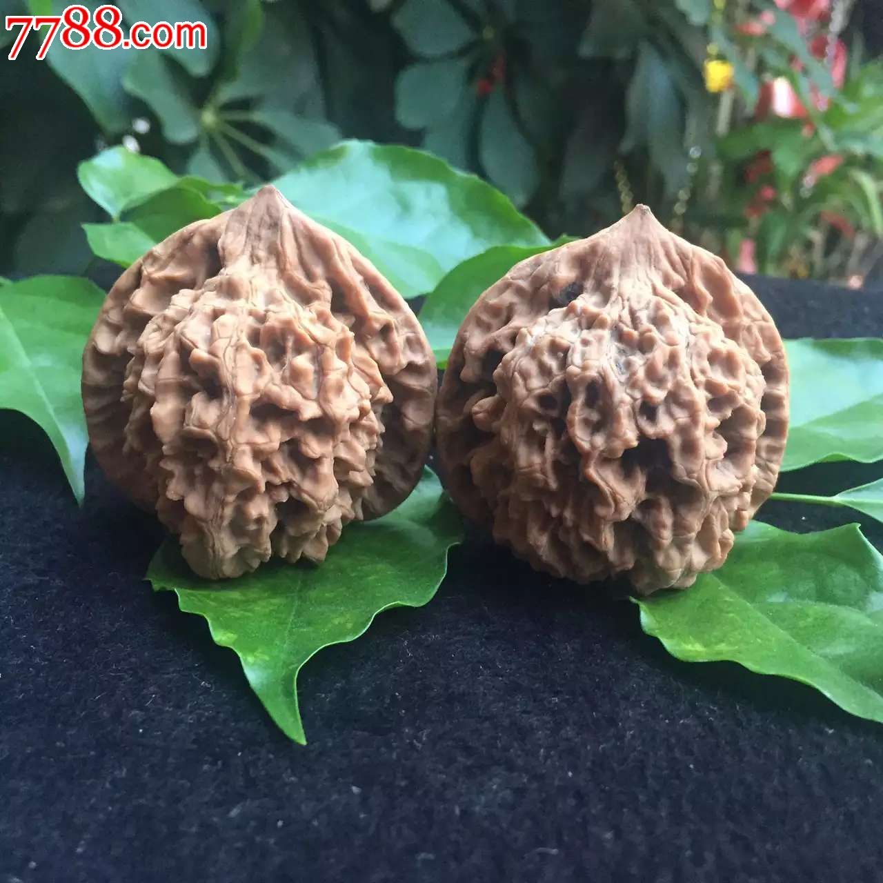 新品上市官帽文玩核桃
